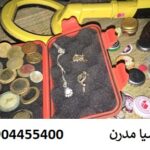 فلزیاب نوکتا پالس دایو Nokta PulseDive