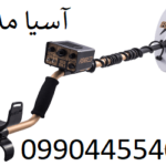 فیشر گلد باگ