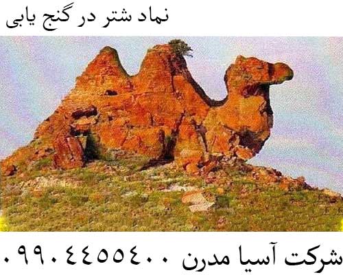 نماد شتر در گنج یابی09904455400