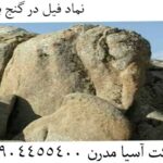 نماد فیل در گنج یابی 09904455400