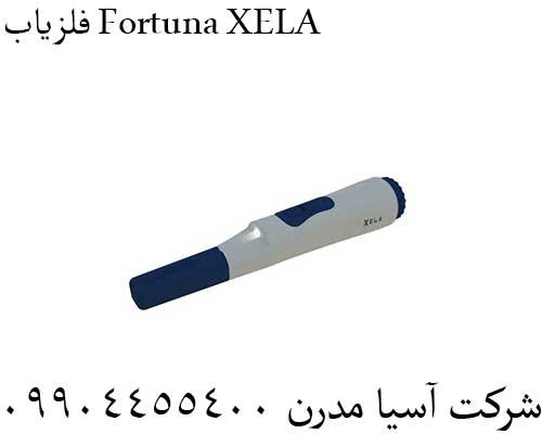 فلزیاب Fortuna XELA09904455400