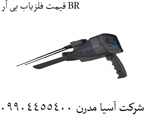 قیمت فلزیاب بی آر BR09904455400