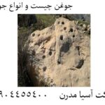جوغن چیست و انواع جوغن 09904455400