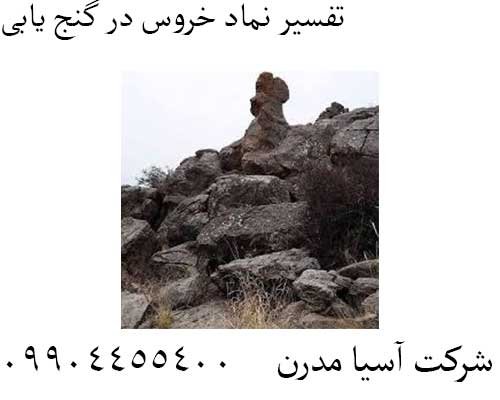 تفسیر نماد خروس در گنج یابی09904455400