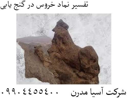 تفسیر نماد خروس در گنج یابی09904455400