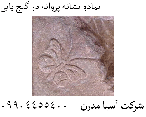 نمادو نشانه پروانه در گنج یابی09904455400