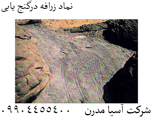 نماد زرافه درگنج یابی  09904455400