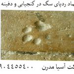 نماد ردپای سگ در گنجیابی و دفینه یابی 09904455400