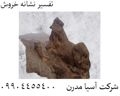 تفسیر نشانه خروش09904455400