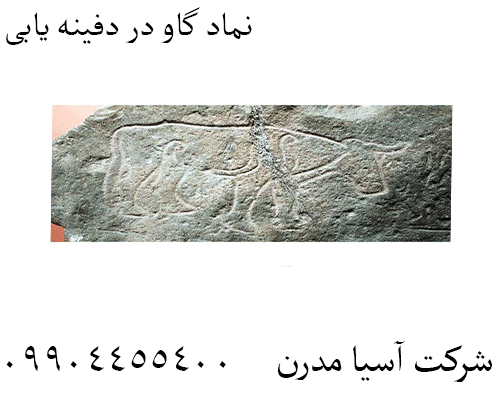 نماد گاو در دفینه یابی09904455400