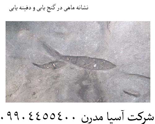 نشانه ماهی در گنج یابی