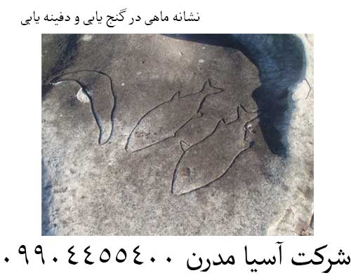 نشانه ماهی در گنج یابی