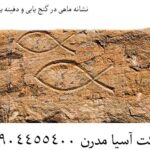 نشانه ماهی در گنج یابی