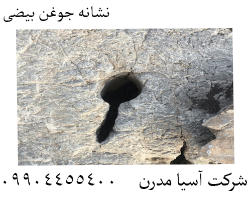 نشانه جوغن بیضی09904455400