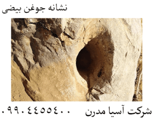 نشانه جوغن بیضی 09904455400