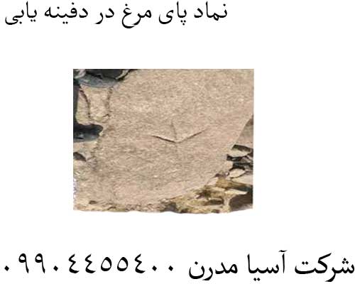 نماد-پای-مرغ-در-دفینه-یابی