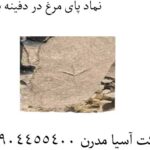 نماد-پای-مرغ-در-دفینه-یابی