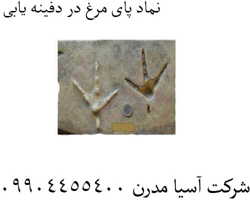 نماد-پای-مرغ-در-دفینه-یابی