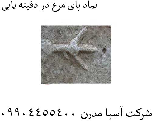 نماد-پای-مرغ-در-دفینه-یابی