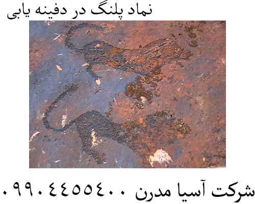 نماد پلنگ در دفینه یابی