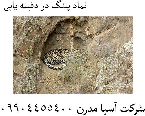 نماد پلنگ در دفینه یابی